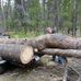 William Crisler - Facebook