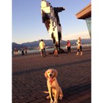 William Cromwell - @marcsuberless - Instagram