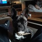 William Crowhurst - Facebook