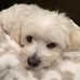 William Crownover - Facebook
