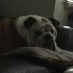 William Crowson - @william.crowson_ - Instagram