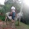 William casaré - @william.casar - TikTok