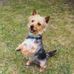 Will Culshaw - Facebook