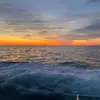 will i am cumberland - @will.i.am_288 - TikTok