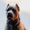 Will Cunningham - @will.cunningham24 - TikTok