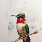 William Cunningham - @rubythroat_watercolors - Instagram