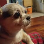 William Cupp - @angie.cupp.39 - Instagram