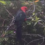 William Cushion - @williamcushion14 - Instagram