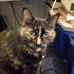 William Louis Cusick - Facebook