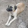 Cutter Williams - @cutter.williams - TikTok