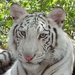 William Cutter - @william.cutter - Instagram