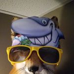 William Dadey - @williamdadey - Instagram