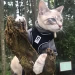 William Dafoe - @williamdafoe.cat - Instagram