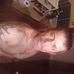William Daigrepont - Facebook