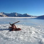 William D'Alessandro - @william.dalessandro - Instagram