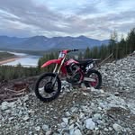 William Dalgleish - @william.dalgleish - Instagram