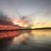 william.d.dalgleish - @williamddalgleish - TikTok