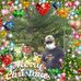 William Delis - Facebook