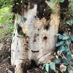 William Danton - @soapypoetry - Instagram