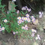 William Dappen - @w.what_are_we_doing_here - Instagram