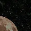 The_lag - @williamdaries - TikTok