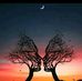 William Dave - Facebook