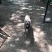 William R. Davie Regional Park - Facebook