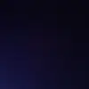 What the hell - @williamdaw - TikTok