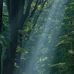 William DAW - Facebook
