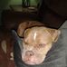 William Dearth - Facebook