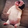 William Cambra - @william.cambra - TikTok