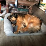 William - @william_deckard0000 - Instagram