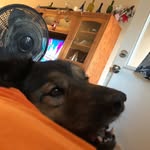 William - @william_deckard_89 - Instagram