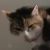 william Decker-09 - @william.decker09 - TikTok