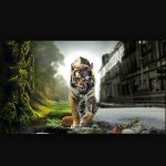 William Decker - @william_decker_2003 - Instagram