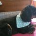 William P Deeter - Facebook
