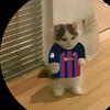 william.degroote - @william.degroote - TikTok