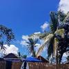 William Demeterio - @william.demeterio - TikTok
