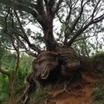 William DeRamus - @wderamus - Instagram