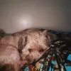 William Hammer - @william.hammer - TikTok