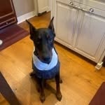 William DeRosa - @derosa7288 - Instagram