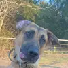 William Derr988 - @williamderr988 - TikTok