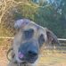 William Derr - Facebook