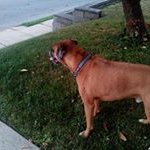 William Derrickson - @williamderrickson20 - Instagram
