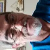 William DeSalme - @williamdesalme - TikTok
