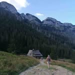 William Desano - @williamdesano - Instagram