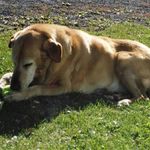 William Deschênes - @william.deschenes.94 - Instagram