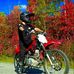 William Deschênes - Facebook