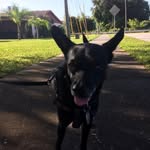 William Deschler - @w_deschler - Instagram