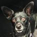 William Deschler - Facebook